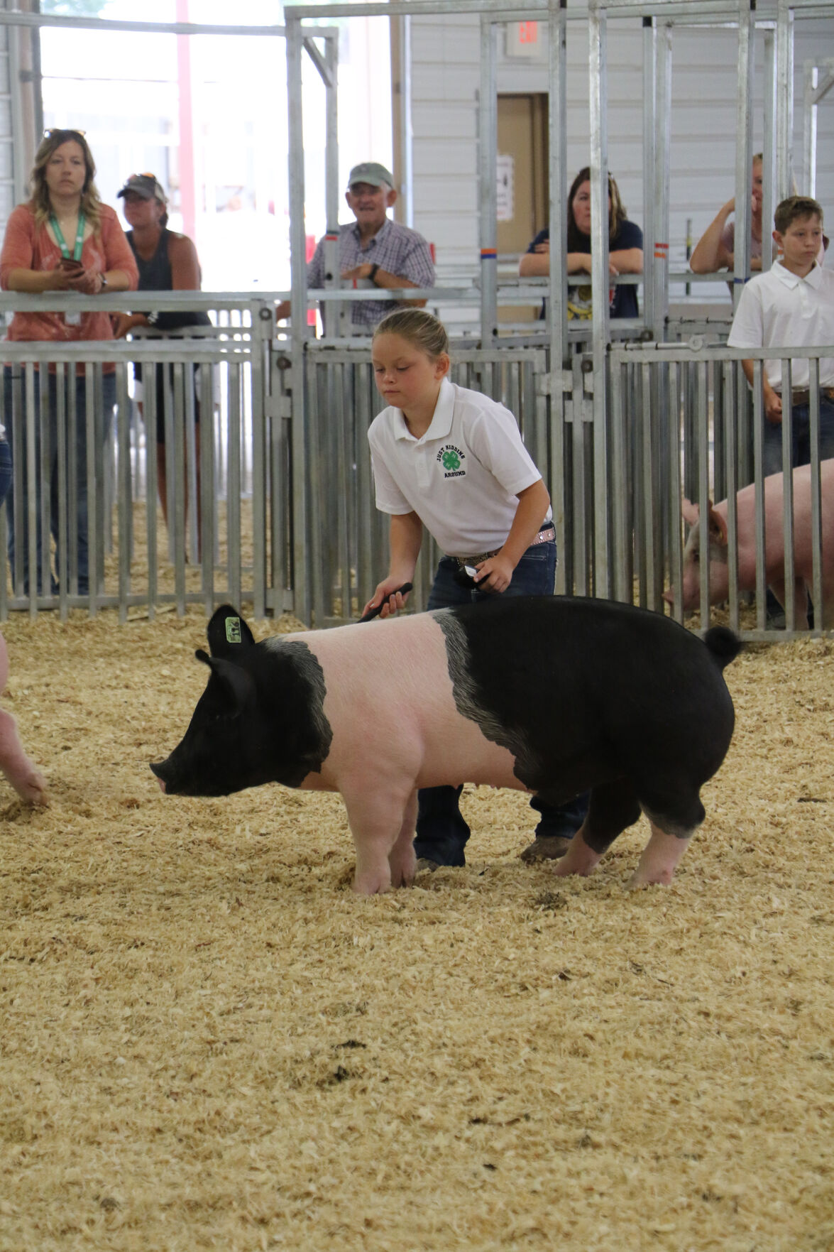 PHOTOS: Pig Showmanship